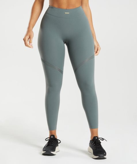 Women's Gymshark Whitney Mesh Leggings Grey | CA 386A57